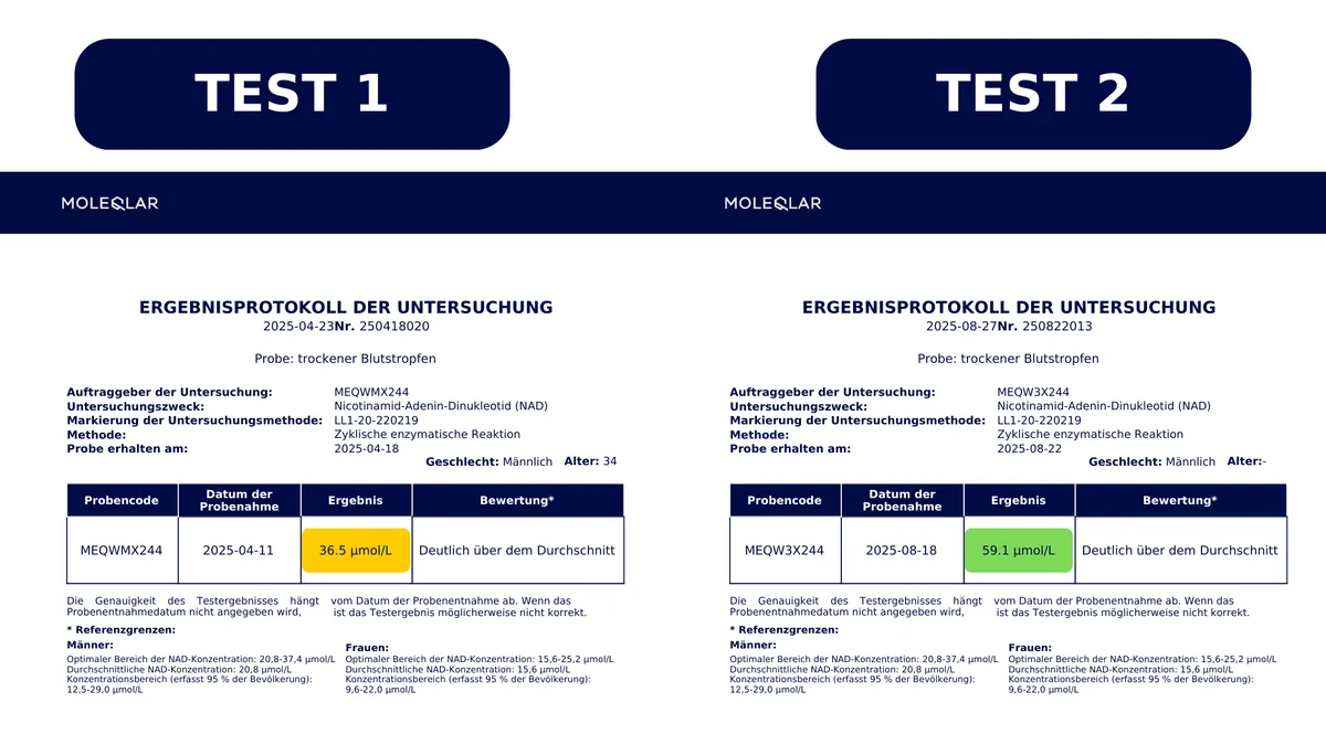 MoleQlar NAD+ Test Erfahrung und Rabattcode LH10 MoleQlar NAD+ Bluttest Erfahrung mit Rabattcode LH10 und zwei persönlichen Messergebnissen 36,5 und 59,1 µmol/L